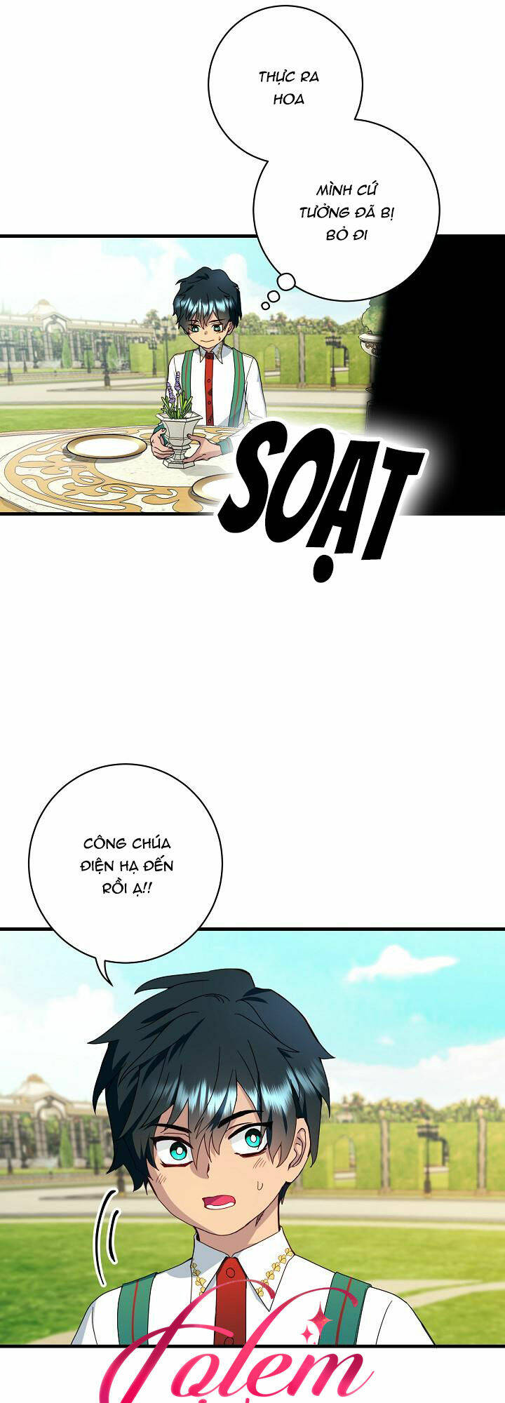 Cái Chết Thoải Mái Của Ác Nữ Công Chúa