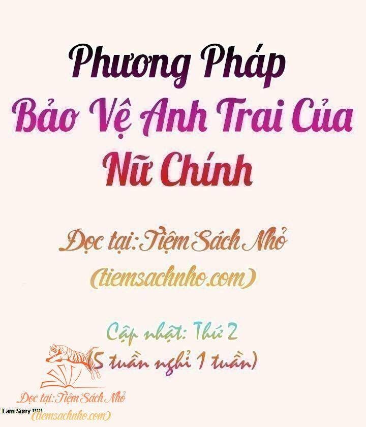 Cách Bảo Vệ Anh Trai Của Nữ Chính