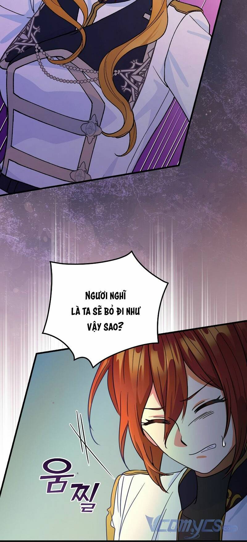 Hiệp Sĩ Hoa Băng